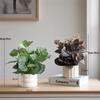 Nordic Style Artificial Potted Plants for Indoor Decor: Perfect for Living Rooms, Offices, and Desktops