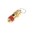 Soupape de sécurité de surpression pour compresseur d'air mâle 1/4'' NPT Raccord d'entrée fileté Soupape de pression 125Psi-270Psi Soupape de sécurité