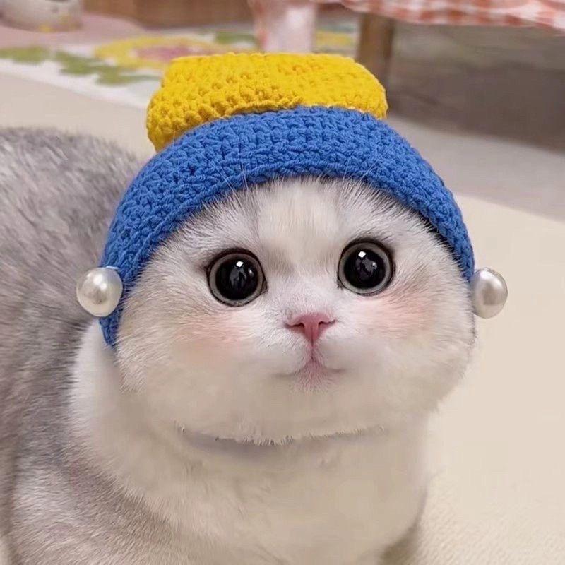 Cute Handmade Knitted Flower Hat And Bib Set For Pet Cats And Dogs