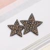 Full Diamond Rhinestone Star Patch – Self-Adhesive Crystal Flower for Shoes, Hats, and Clothing