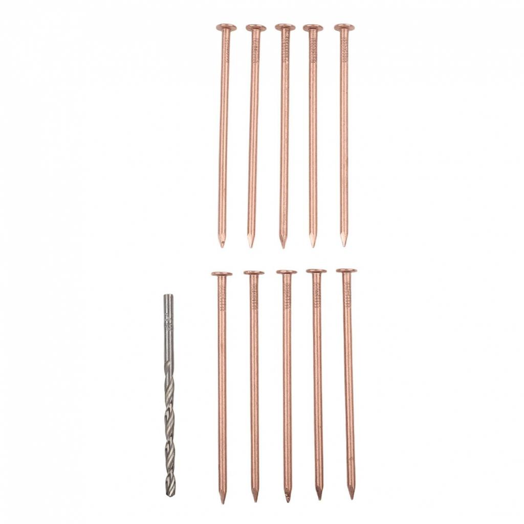 Effective Copper Nail Spikes 4 Inch Length for Tree and Stump Root Management