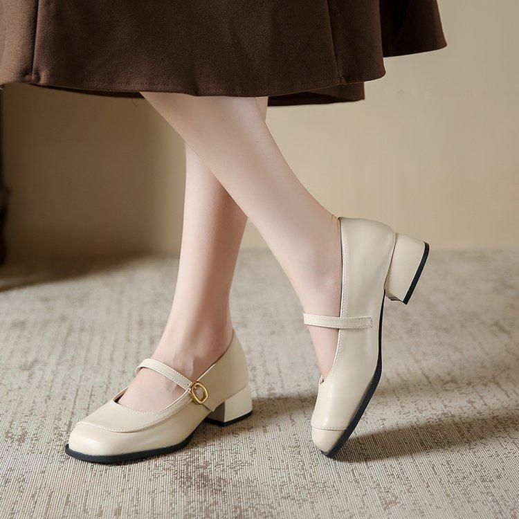 French Light Mouth Single Shoes Women's 2024 Early Autumn New Thick Heel Square Head with Skirt High Heels with Mary Jane Shoes