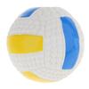 Squeaky Rugby/Football/Volleyball Balls Toys for Dogs Pets Playing - Volleyball