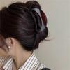 1pc Hollowed-out Arc-shaped Female Shark Clip, Simple Hair Clip At The Back Of The Head, Coiled Hair Claws