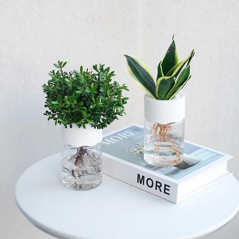 Plastic Pot for Plants Stylish Hydroponic Pot Water Planting Vase Container Aquaponic Planter Home Desk Officer