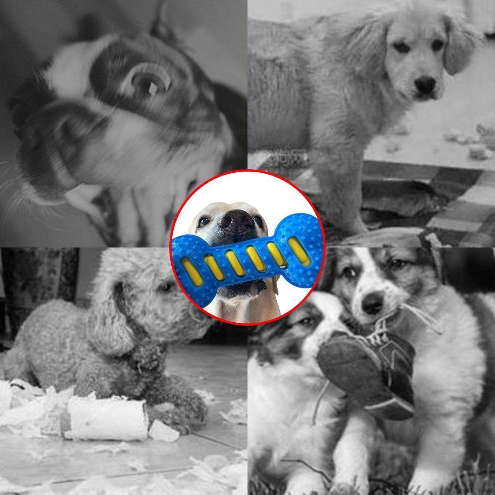 Beißfestes Haustier Hund Kauspielzeug Knochenform Welpen Zahnungshilfe Neu Quietschspielzeug Haustierbedarf