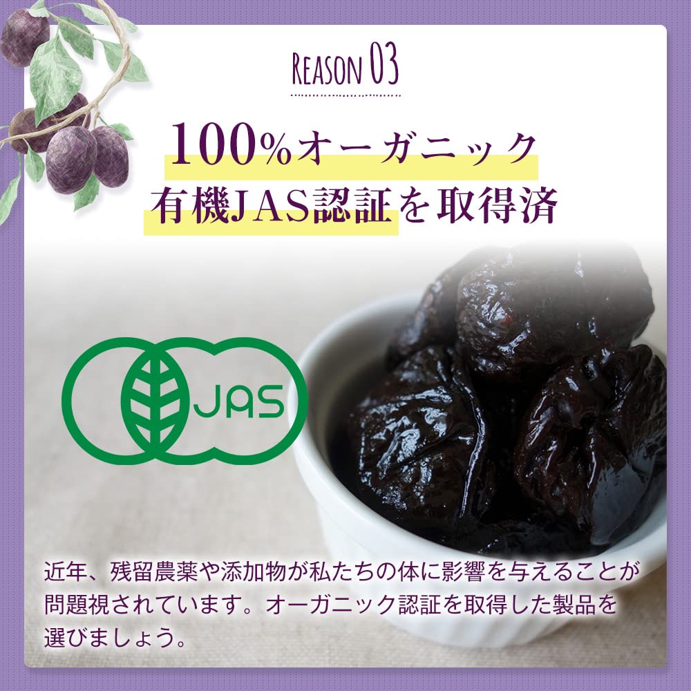 Brilliant Earth Organic Pitted Prunes 1kg Bulgaria JAS Certified