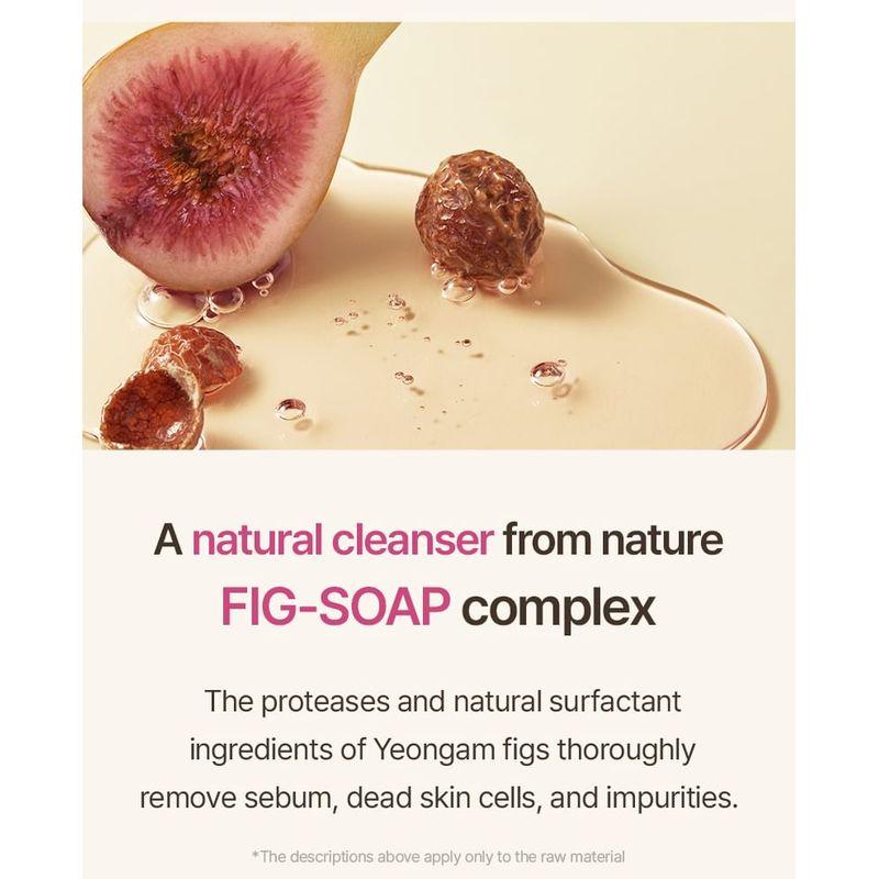 I'M FROM Fig Foam Cleanser