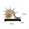 Elegantes Seestern-Deko-Akzentstück zum Stylen