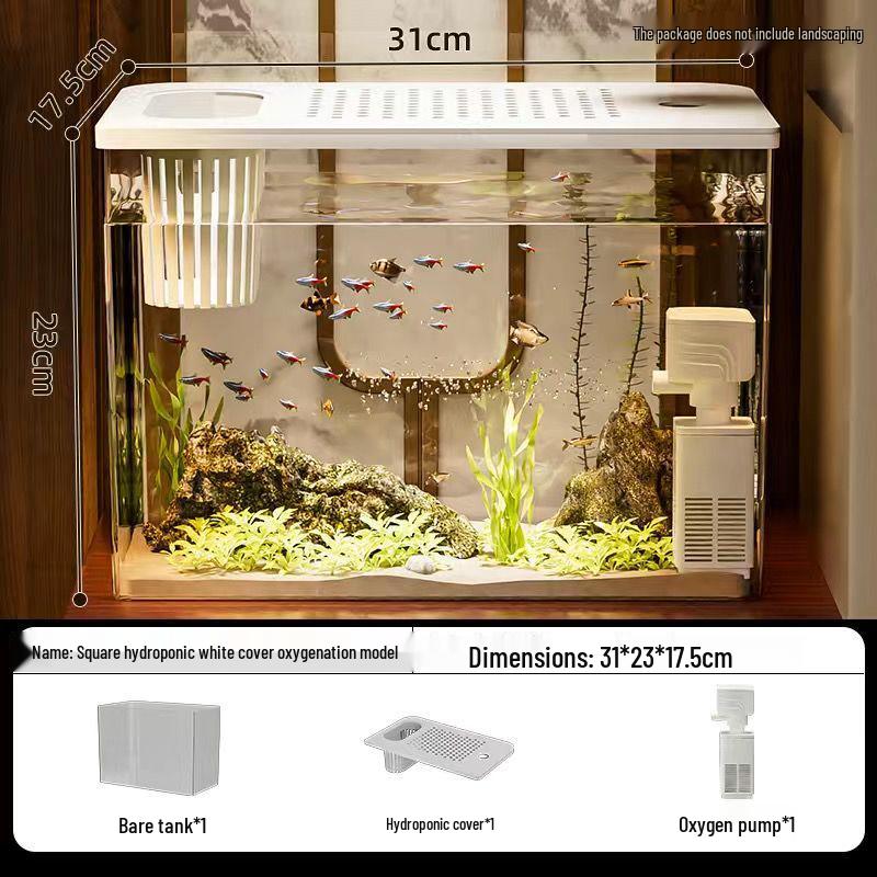 Transparent Plastic Desktop Aquarium: Small Ecological Fish Tank for Goldfish, Ideal for Living Room or Table Landscaping