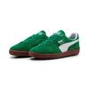 Puma Palermo 'Archive Green' Men's 396463-63