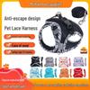 Câini – Curele și lese pentru câini