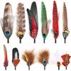 12Pz Piume per Cappelli Assortite Piume Naturali per Cappelli Colorate Piume Vere Spilla Artigianato Fai da Te Uomo Donna Cappelli da Cowboy Fedora