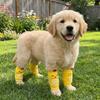 Anti-dirty Pet Knee Pads Soft Dog Leg Warmer Joint Protection Socks Dog Leg Covers  Front Rear Legs