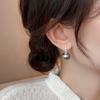 Korean Gray Zircon Pearl Pendant Earrings For Women Elegant Round Crystal Temperament Earrings Jewelry Birthday Gifts 2025