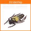 Pvc Insect Realistic Figures Wasps Ants Crickets Educational Collection For Kids Science And Discovery