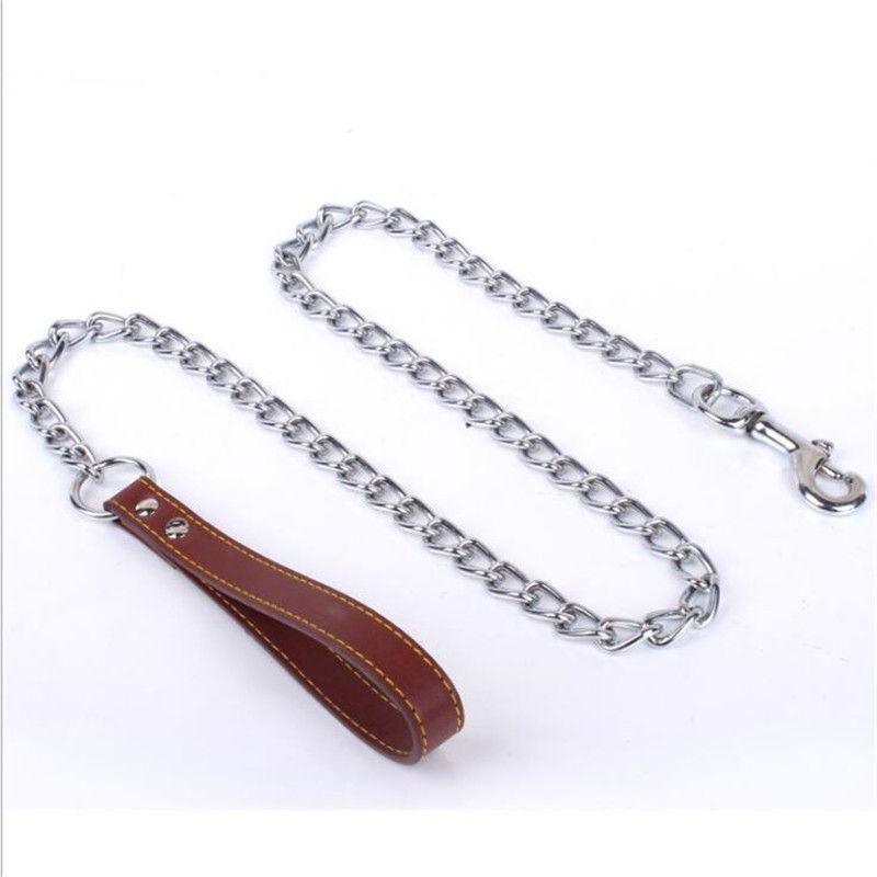 chain dog lead