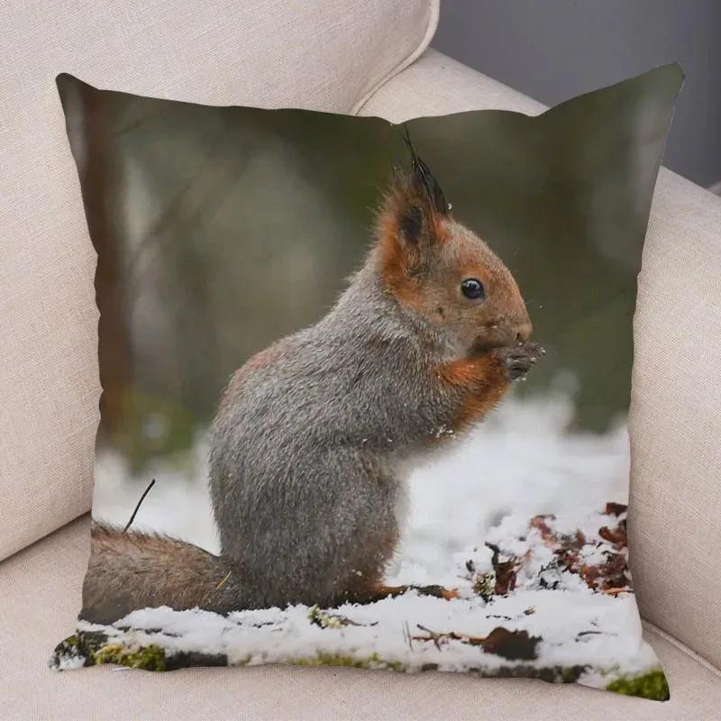 Cute Squirrel Cushion Cover Pillowcase Pillow Covers Home Decor Pet Animal Pillows Case Super Soft Polyester Pillows Covers