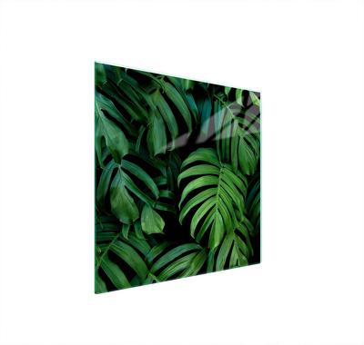 GLAS-KOCHFELD-SCHUTZPLATTE 50x52 MONSTERA