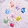 Korean Cute Children's Hair Accessories Packaging Card