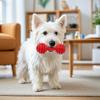 Dog Chew Toy Spiky Barbell Dog Toy with Built-in Bell To Relieve Boredom Interactive Teeth Cleaning Toy for Aggressive Chewers