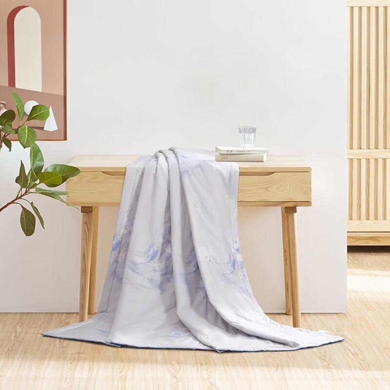 Mercury Home Textiles Lightweight All-Season Quilt