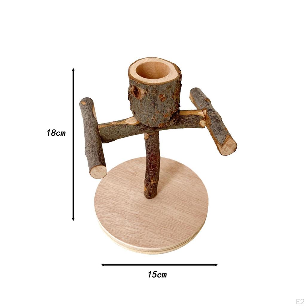 Bird Training Stand Wooden Perch Toy Solid Interactive Toys Eating Practical Standing Parrot