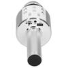 Wireless Microphone Bluetooth Recording Handheld Portable for Party Wedding Meeting