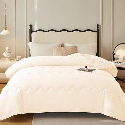 Royal Bedding Super Soft Washable Fiber Quilt