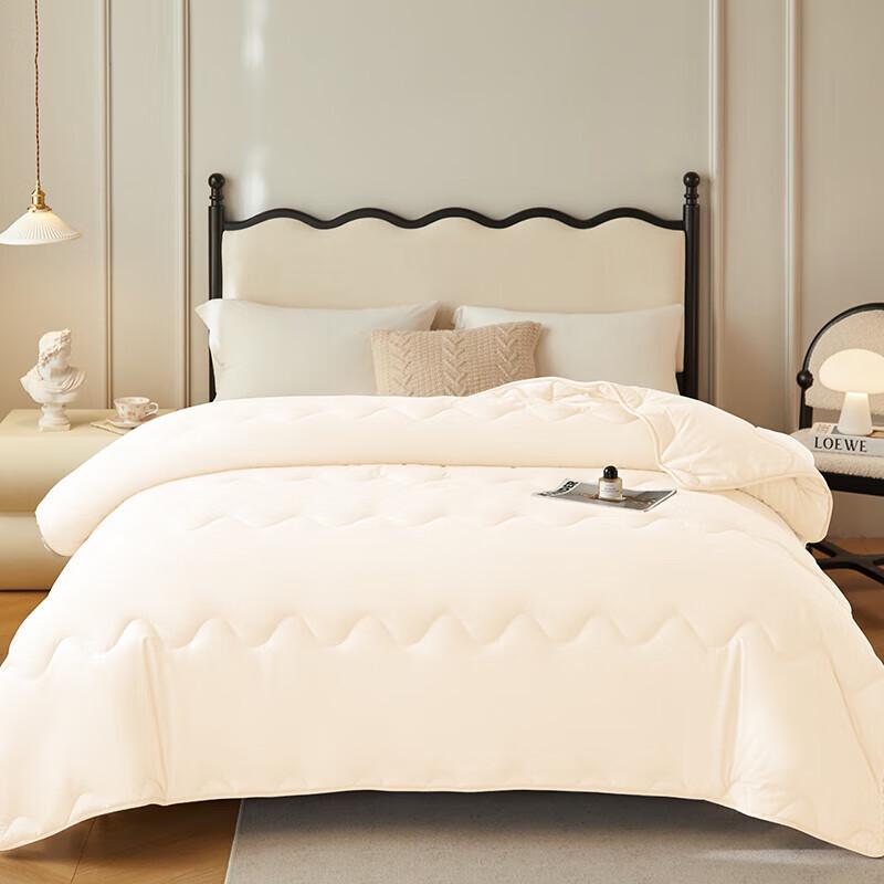 Royal Bedding Super Soft Washable Fiber Quilt