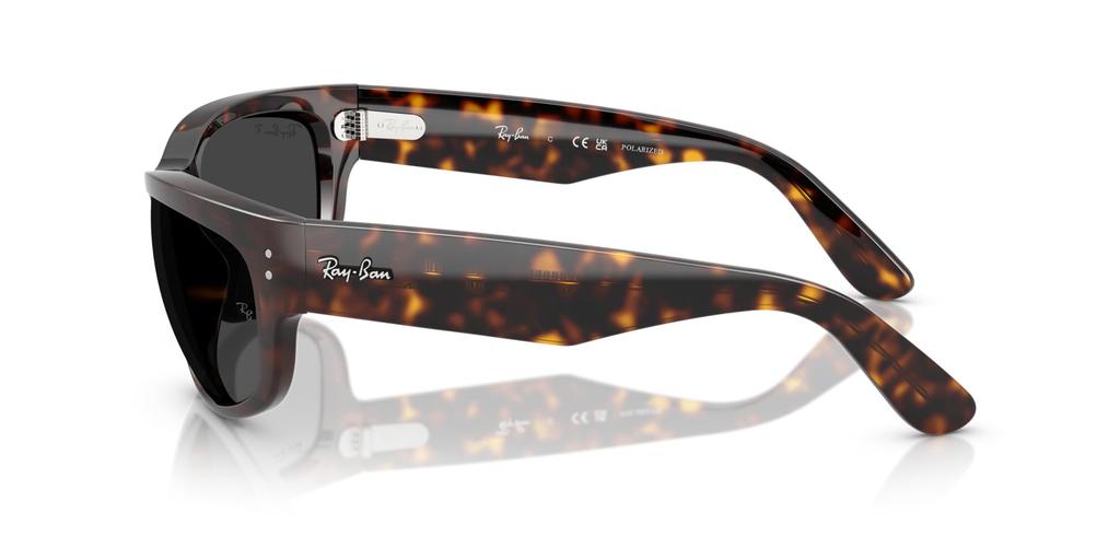 Sunglasses 0RB2289 60 [Ray-Ban] 902/48