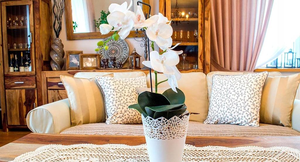 KADAX Orchid Support Plant Support 10pcs 50cm