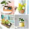 4 Pcs Plant Watering Devices 19 Oz Self Watering Globes For Plants | Water Globes Bulbs Plant Watering Globes For Indoor Outdoor