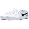Nike COURT HERITAGE Skateboard Shoes Men's White IQ9750-104
