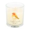Robin Remembrance Cranberry & Clove Robin Scented Candle