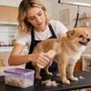 Dog Brush For Shedding Undercoat Remover Comb Wooden Dog Hair Brush For Kittens Medium Large Breed Loose Long Short