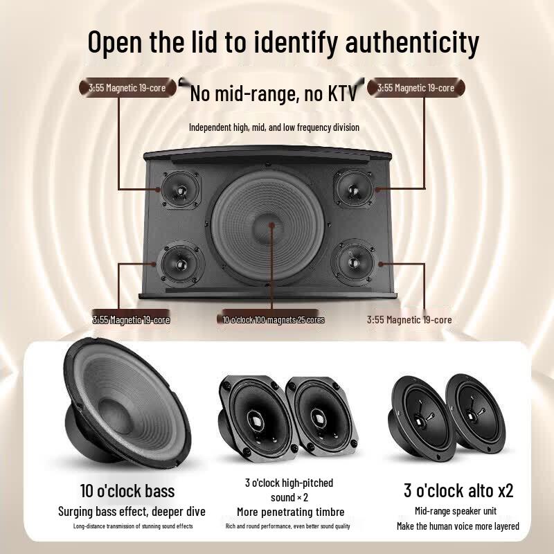SAST Home Theater KTV Karaoke System (CN Version)