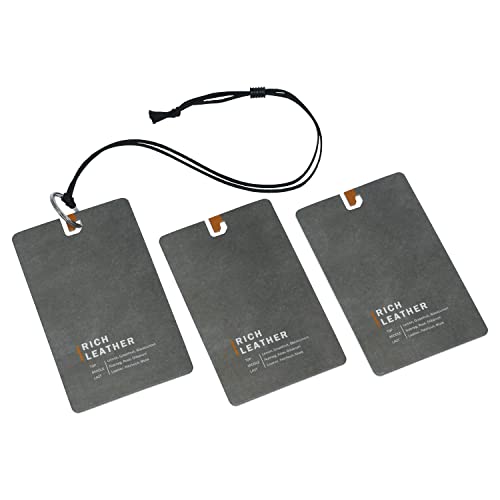 Carmate H1663 Hanging Air Freshener for Cars and Rooms, Set