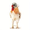 1 st Kip Helm Kip Vogel Speelgoed Hoofdbescherming Helm Vogel Hoed Hoofddeksels