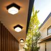 Outdoor LED Aisle Ceiling Lights Modern Style LED Waterproof Ceiling Light Corridor Light Balcony Home Decor Lighting AC85-265V