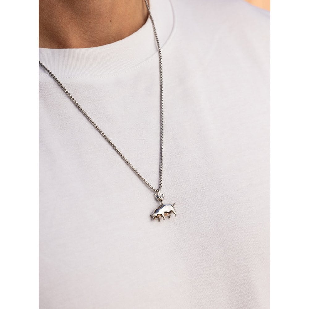 Pendant Necklace - Silver x Silver