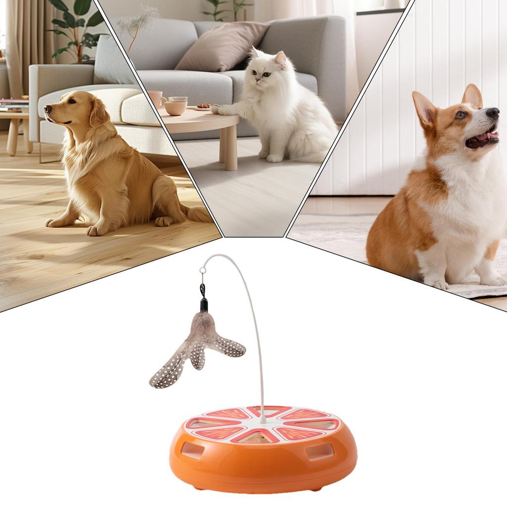 Electric Cat Toy Rechargeable Turntable With Teaser Wand Cat Enrichment Toys For Indoor Exercise Entertainment Boredom Activity