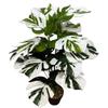 Areca Palm Artificial Potted Plant - Indoor Large Floor Decoration Fake Tree