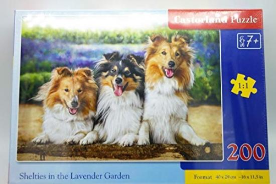 rabbit moving litter box