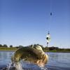 LED Underwater Fishing Light Small Fishes Eye LED Fishing Light Attractants Lures for Night Fishing Freshwater Saltwater