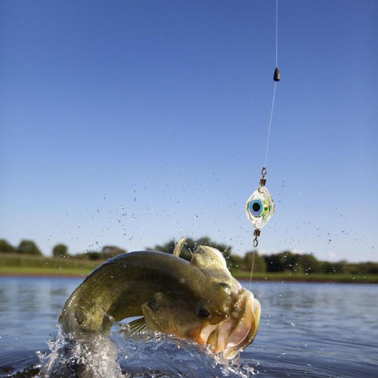 LED Underwater Fishing Light Small Fishes Eye LED Fishing Light Attractants Lures for Night Fishing Freshwater Saltwater