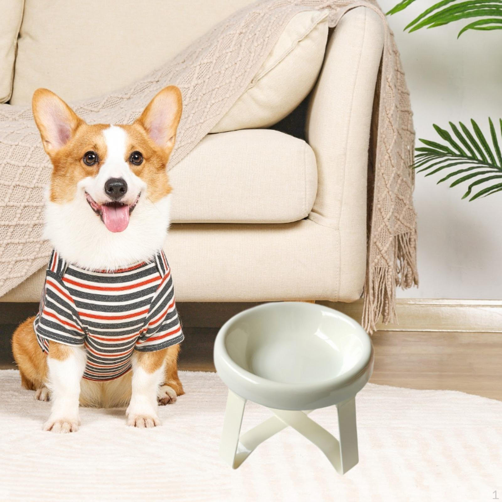 

Миска для кошачьего корма с металлической подставкой, диспенсер для воды, предотвращает проливание, керамическая мисочка для домашних животных белый