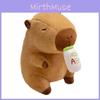 Ab Capybara Bottle Dress Up Cartoon Plush Toys Childres Birthday Gifts Dolls