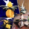 Sling Carriers for Bearded Dragons Small Reptiles Harness Leash Set with Wings Adjustable Carrying Travel Bag