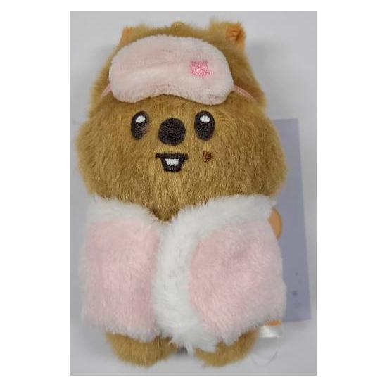 Skzoo Plush 10cm - Stay in Our House